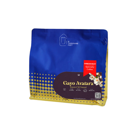 Gayo Avatara Raisin CM Natural 500gr