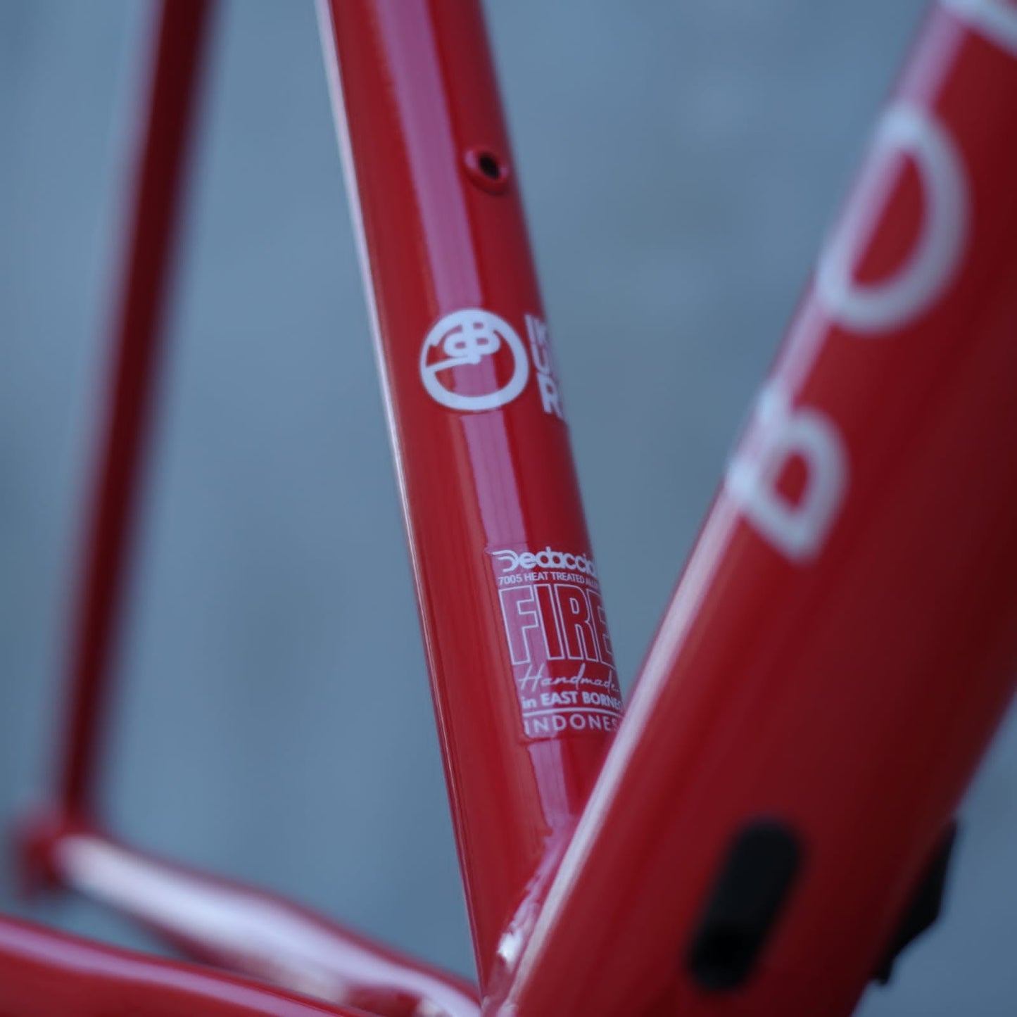 Borneo Track Frameset BBG 002