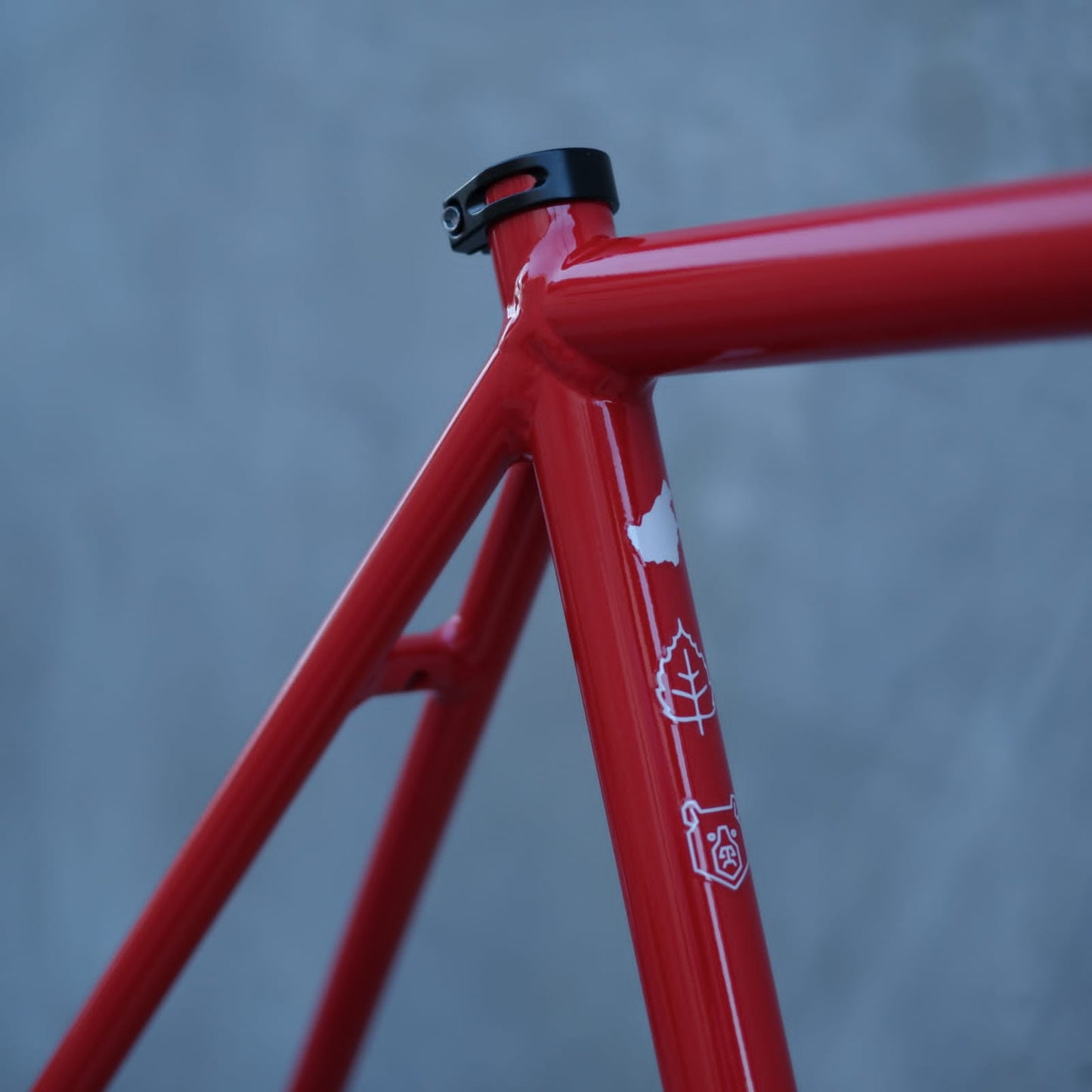 Borneo Track Frameset BBG 002