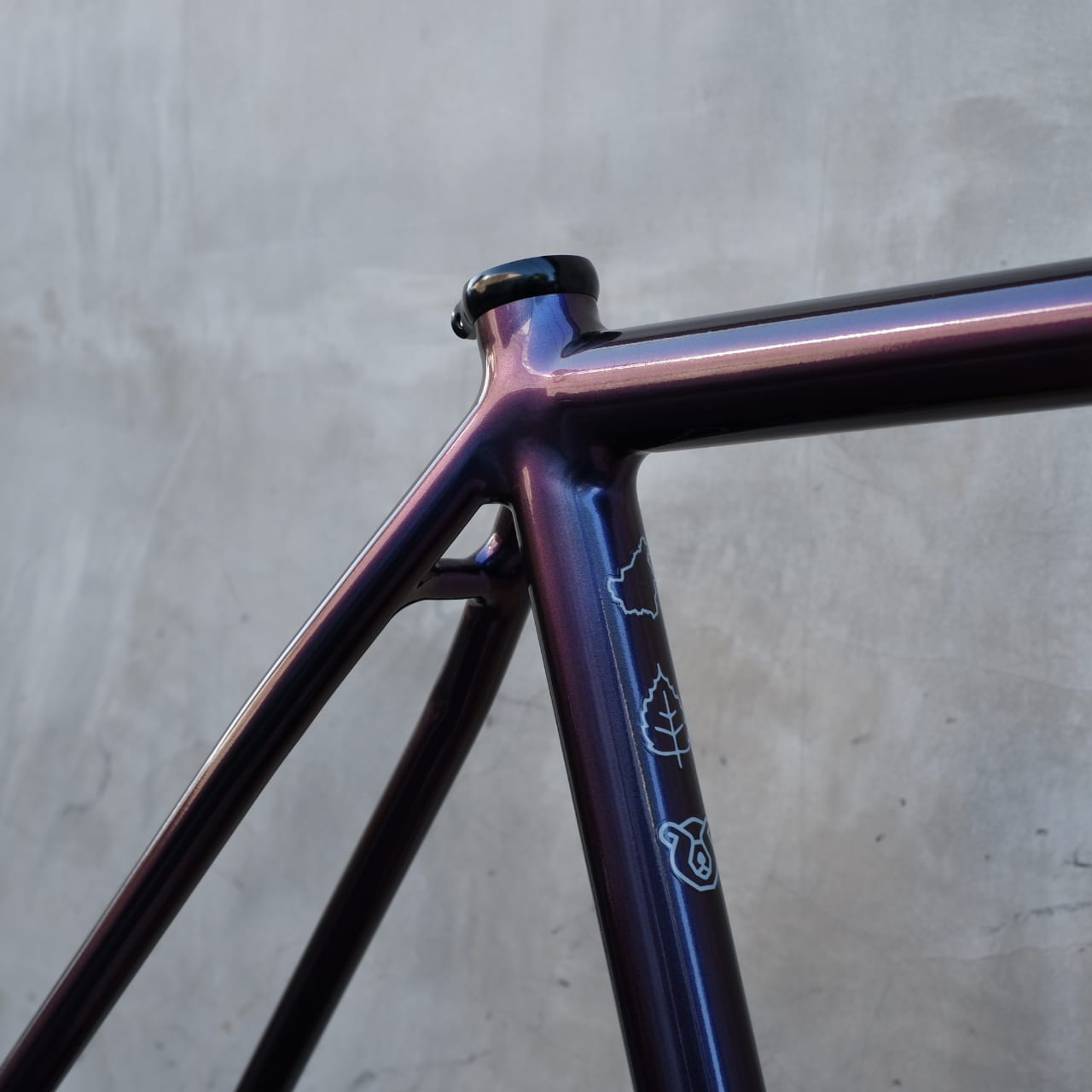 BORNEOTRACK GRAVEL FRAMESET