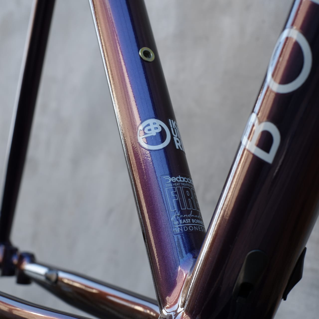 BORNEOTRACK GRAVEL FRAMESET