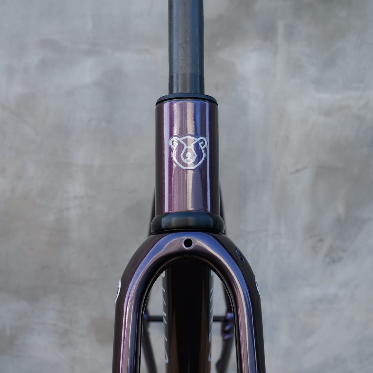 BORNEOTRACK GRAVEL FRAMESET