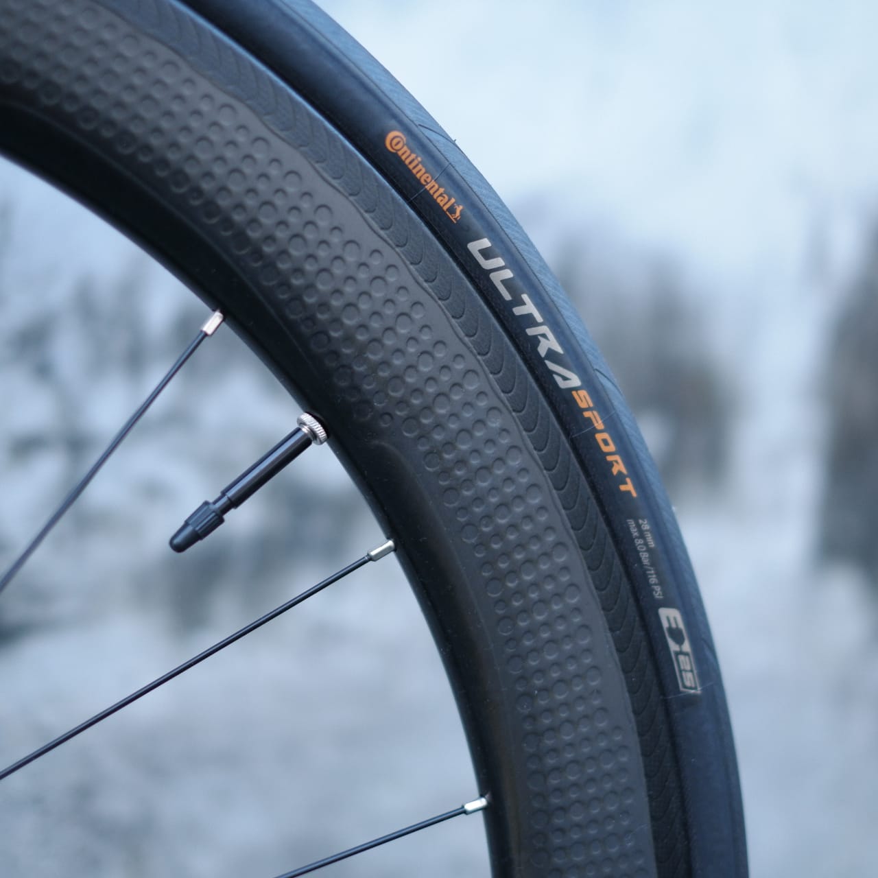 Full Bike BORNEOTRACK ISP Road bike rims brake Headset integrated 1 1/8