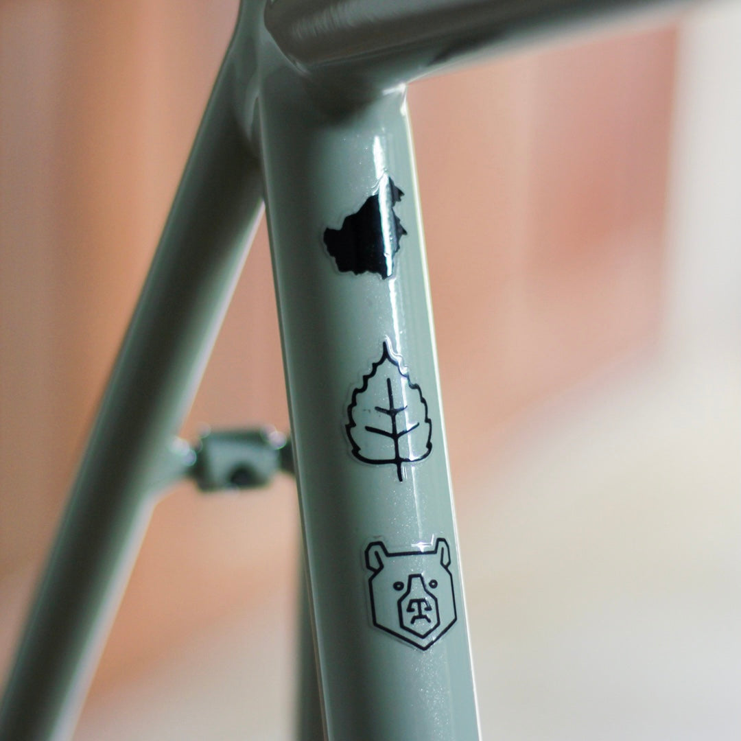 Borneotrack ISP Road Bike Rims Brake Frameset